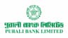 Pubali Bank